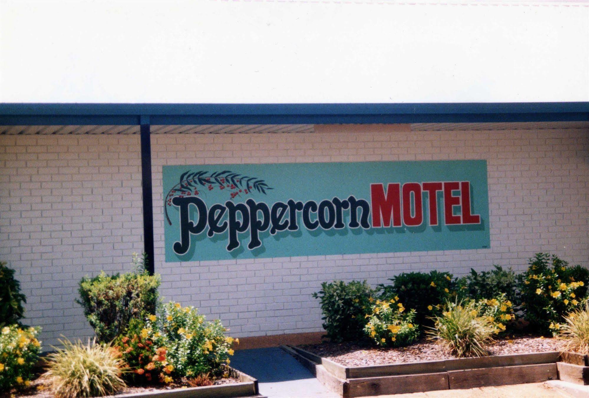 Peppercorn Motel Clermont Dış mekan fotoğraf